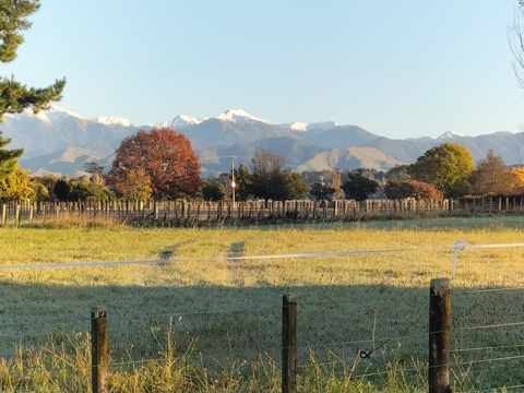 IMG20260424072917