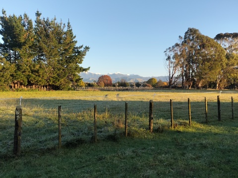 IMG20260424072923